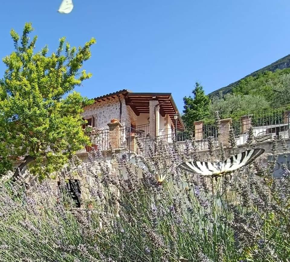 פרנטילו Pucci Country House מראה חיצוני תמונה